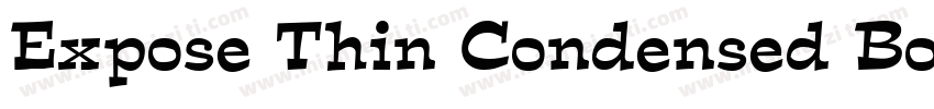 Expose Thin Condensed BoldItalic字体转换